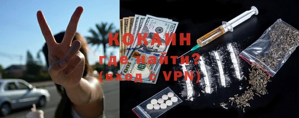 дмт Бородино