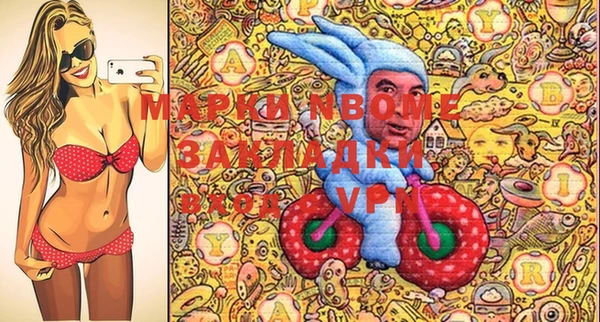 дмт Бородино