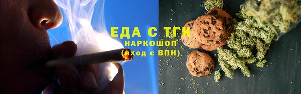 дмт Бородино