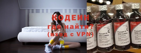 дмт Бородино