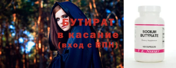 дмт Бородино