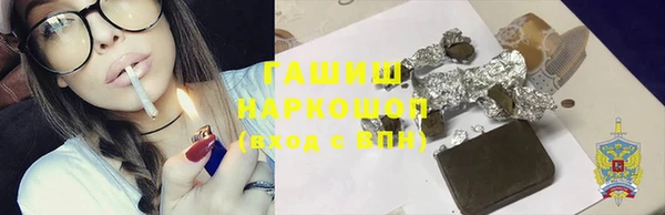 дмт Бородино