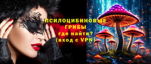 спиды Бугульма