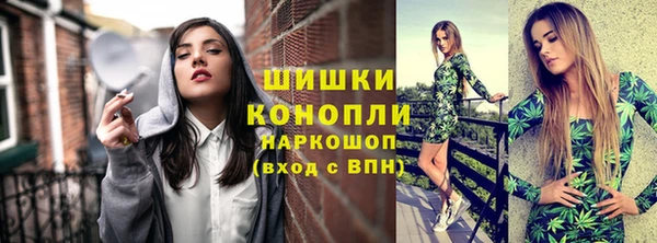 дмт Бородино