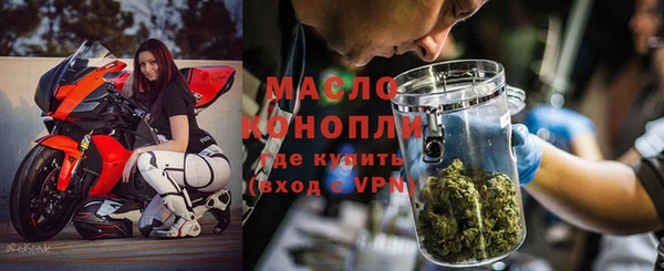 дмт Бородино
