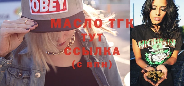 дмт Бородино