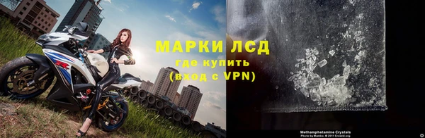 дмт Бородино