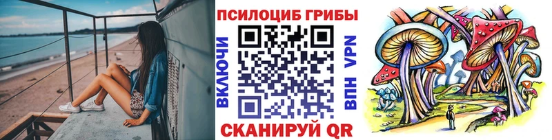 МЕГА зеркало Высоковск Псилоцибиновые грибы Magic Shrooms